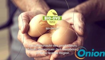 Bio-Ovo Sa Sa - Buschdorf Helperknapp