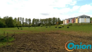 Biobuttek Jeekelshaff - Pétange