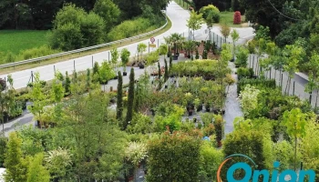 De Grénge Männchen Sàrl - Conception de Jardins Sur Mesure & Services de - Ernztalgemeinde