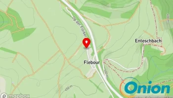 Delux Havaneser - Flebour Buerschent