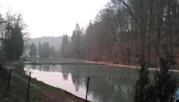 Etangs de Fischbach - Fischbach