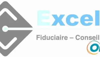 Excelia Management Services Sarl - Esch An Der Alzette