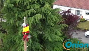 Forestry Solutions Sàrl - Frisingen