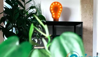 Lightbulb - Software Development - Lorentzweiler