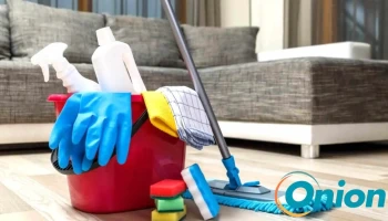 Nettoyage Almeida Ercilia - Luxemburg