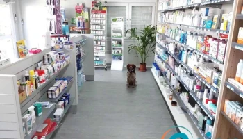 Pharmacie de Contern - Contern