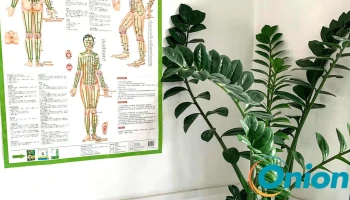 Ping Traditional Chinese Massage (Home Based) 推拿按摩 - Gare Luxemburg