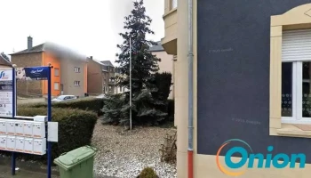 Thermofroid Services Luxembourg Sàrl - Pétange