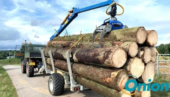 Woody Wood Peters Sàrl - Buschrodt
