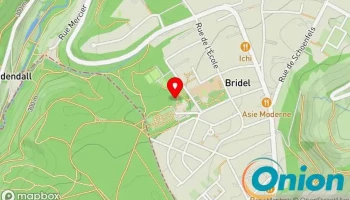 Youth Club De Bridel - - Bridel Kopstal