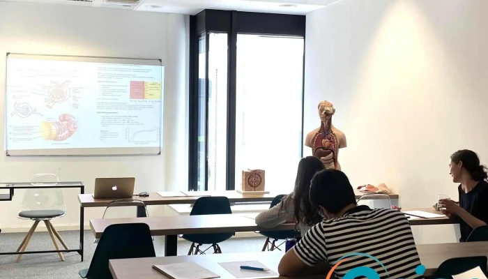 Academy Support Aux Études Medical And Higher - Esch-Belval Belvaux Sanem
