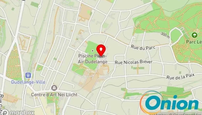 Kaart vun Acces Infoservices Luxembourg S.a R.l. Computerservice zu Dudelange