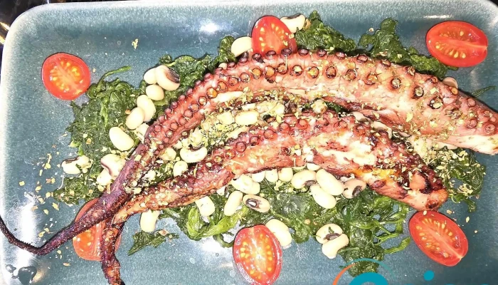 Aleo Filosofia Mediterranea -  Pulpo - Luxemburg