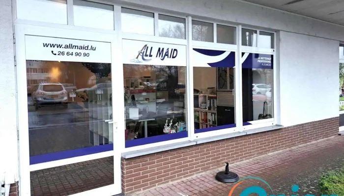 AllMaid - Steinsel