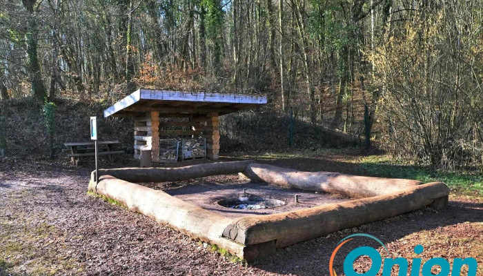 Anf Ellergronn - Pelouse / Place de grillade (Réservation obligatoire) - Esch An Der Alzette