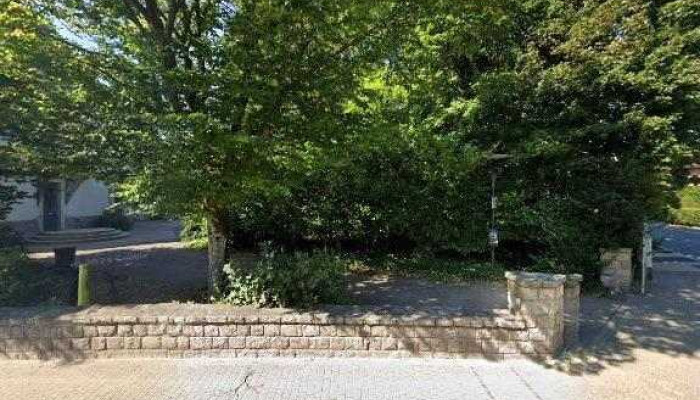 Arborcare Street View 360deg Fotos - Steinfort