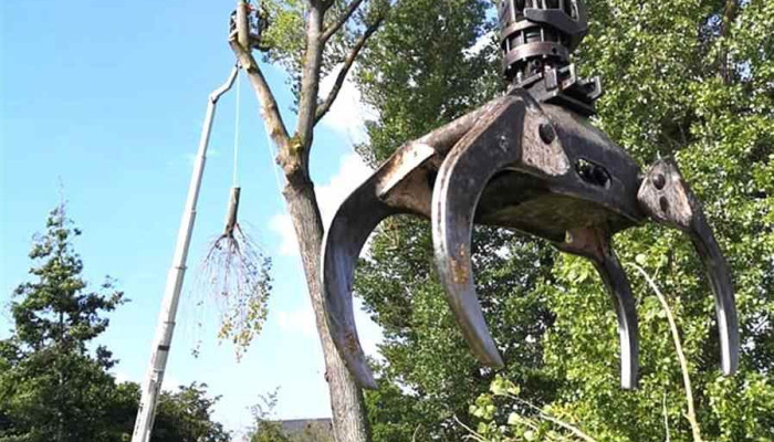 Arborcare Vom Inhaber - Steinfort