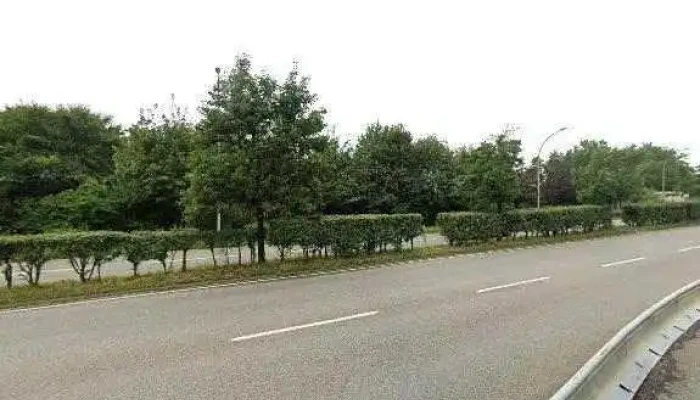 Axendix -  Videoene - Mamer