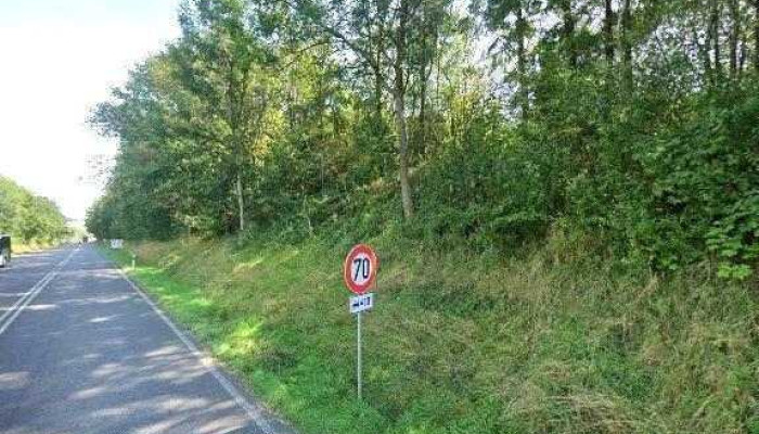 Barrela Martins Sarl Remisene - Feulen