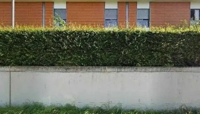 Beim Troterbatti -  Street View 360deg Fotos - Erpeldingen
