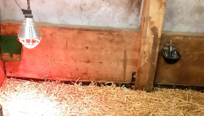 Bricher Paerdsstall -  Bewaertung - Helperknapp