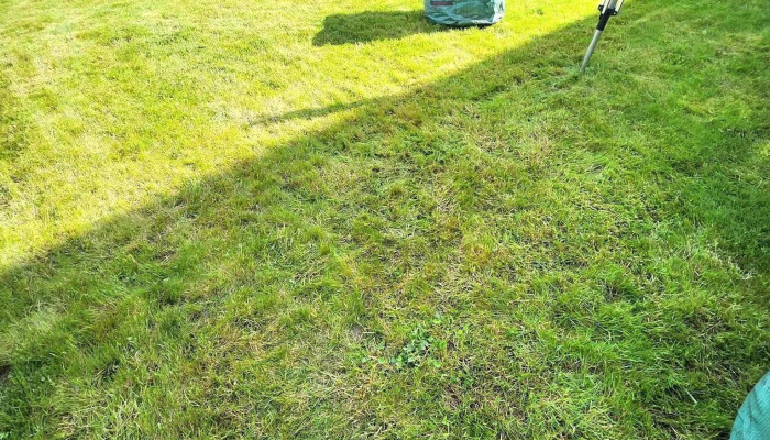 Bricolage Et Jardinage Glod Romain -  Garten - Dudelange