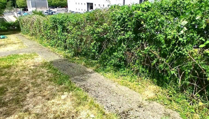 Bricolage Et Jardinage Glod Romain -  Neueste - Dudelange