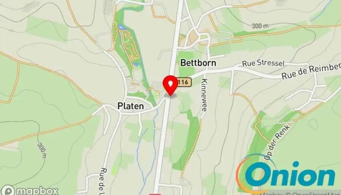 Kaart vun Cartesoft Computersupport und -dienste zu Préizerdaul