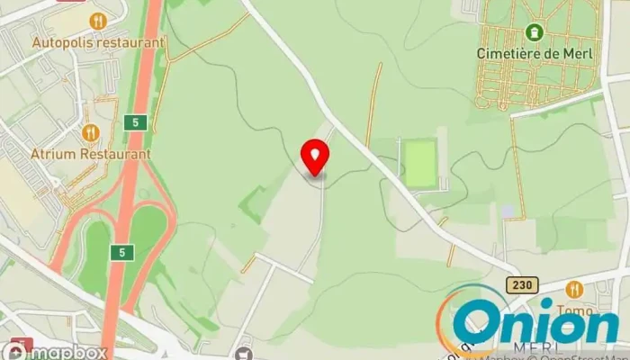 Kaart vun Chargy Ladestation Ladestation für Elektrofahrzeuge zu Luxemburg