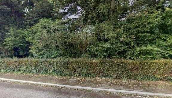Code Green Sarls -  Street View 360deg Fotos - Ell
