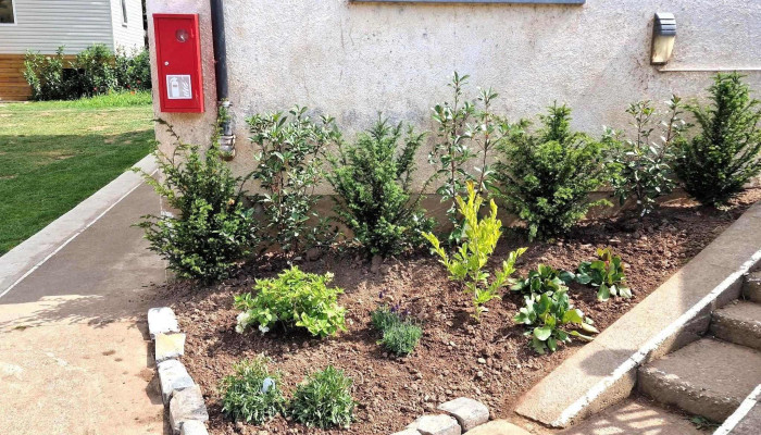 Colibrie -  Lux Gmbh Gartenbau Websait - Clerf