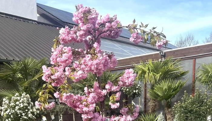 De Grenge Mannchen Sarl   Conception De Jardins Sur Mesure Services De Ernztalgemeinde - Ernztalgemeinde
