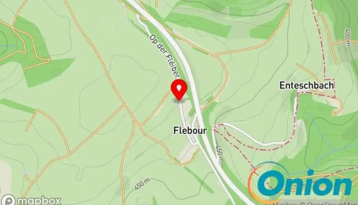 Delux Havaneser - Flebour Buerschent