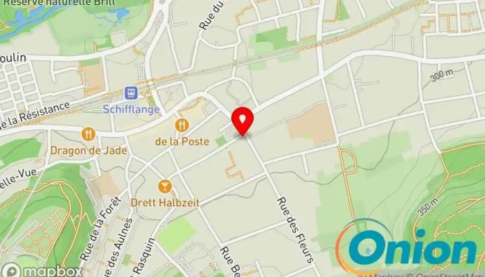 Kaart vun Demas jardinage Auftragnehmer zu Schifflingen