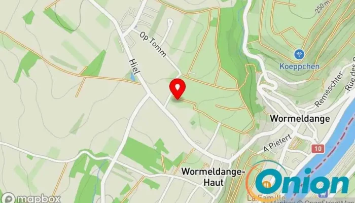 Kaart vun DieDachwerkstatt S.à.r.l. Handwerk zu Wormeldingen