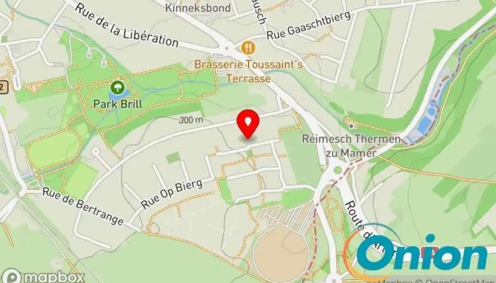 Kaart vun Dina Clean Sàrl-S Hausmeisterservice zu Mamer