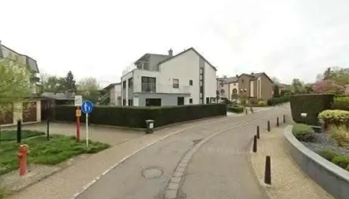 Djungelbuch -  Kommentarene - Roeser