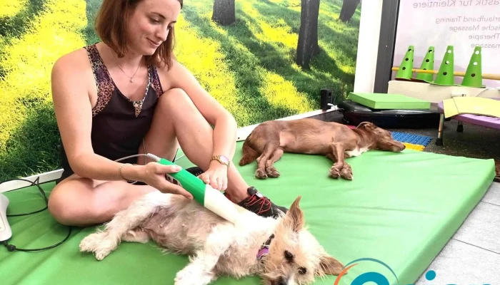 Dogvital Hundephysiotherapie - Echternach