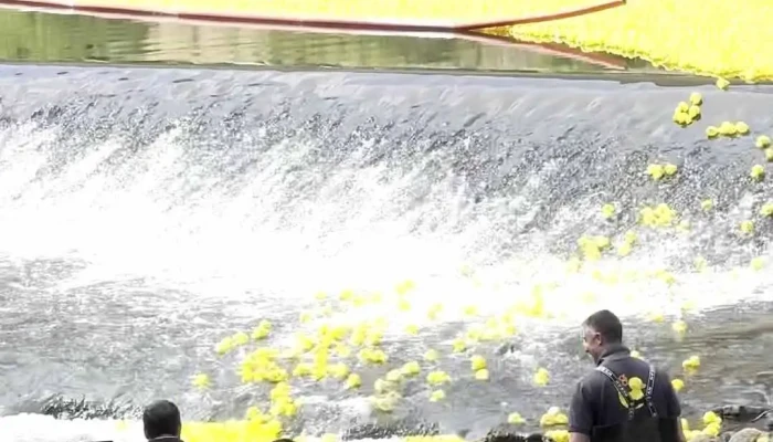 Duck Race Rt Luxembourg - Ville-Haute Luxembourg