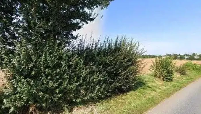 E -  Clean Sarl Street View 360deg Fotos - Steinfort