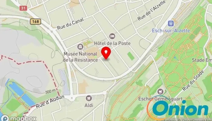 Kaart vun Electricité RICCI Elektriker zu Esch an der Alzette