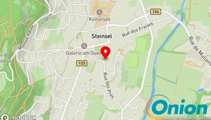 Kaart vun Electricité Roger Melcher Elektriker zu Steinsel