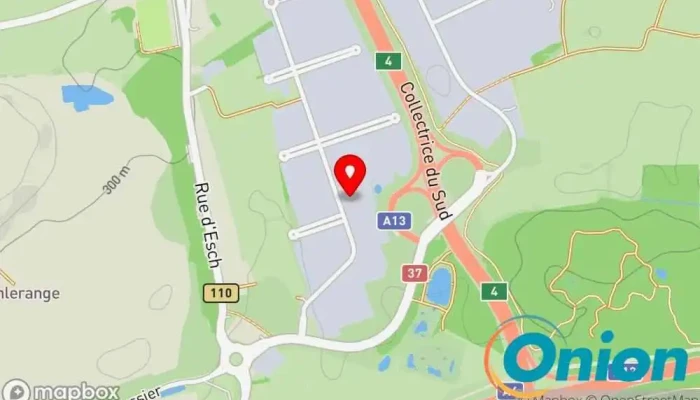 Kaart vun EQUANS Services SA Energieausrüstung und -lösungen, Umwelteinrichtung für erneuerbare natürliche Ressourcen zu Sassenheim