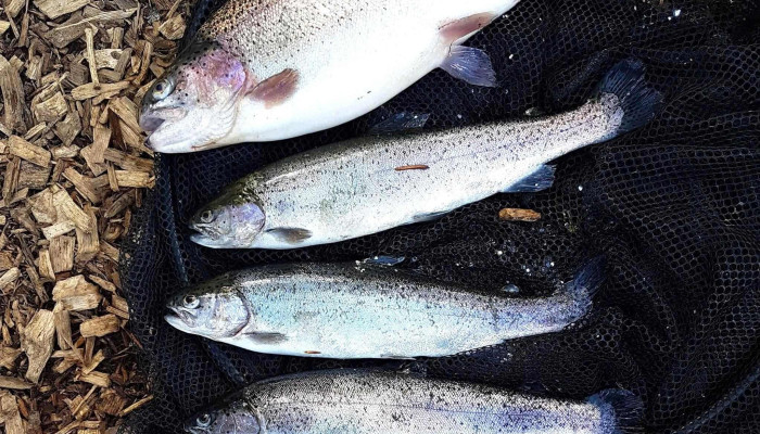 Etangs De Fischbach -  Bewaertung - Fischbach