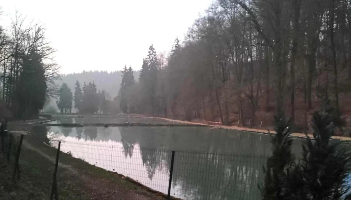 Etangs de Fischbach - Fischbach