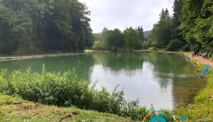 Etangs De Fischbach -  Geigende - Fischbach