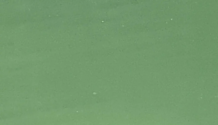 Etangs De Fischbach -  Telefon - Fischbach