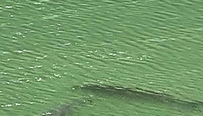 Etangs De Fischbach -  Websait - Fischbach