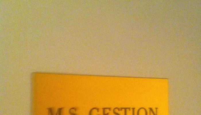 Fiduciaire Ms Gestion Diekirch - Diekirch