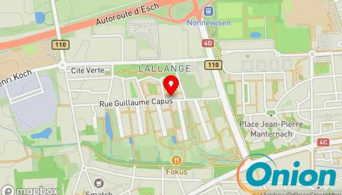 Kaart vun Flavours by Julian, Risheek & Praveen Restaurant zu Esch an der Alzette